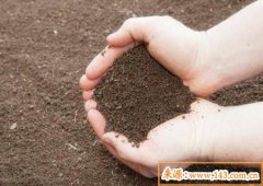 八字算命：土命的男人命运好不好