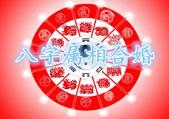 八字算命：八字合婚要看属相吗