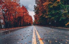 属猴的人立秋出生命运顺不顺,属猴人一生事业怎么样？