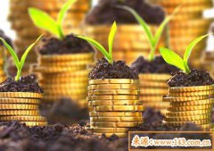 旺财的风水方法