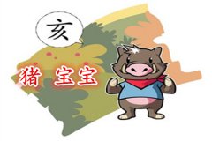 属猪的女孩几月出生好