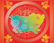 属猪的和什么属相较配