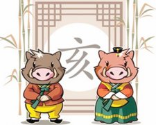 属猪的较佳配偶