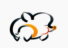 属猪和什么属相较合