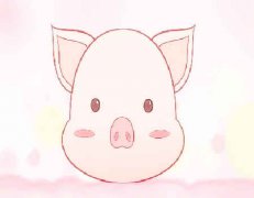 属猪女人的性格特点及脾气