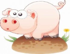 属猪女和什么属相较配