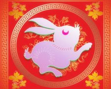 属兔的和什么属相较配