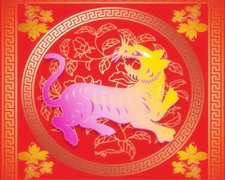 属虎的和什么属相较配