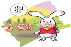 属兔的男孩几月出生好