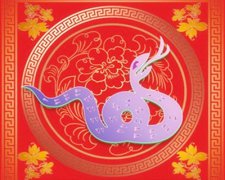 属蛇的和什么属相较配