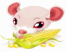 属鼠男和什么属相较配