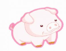 属猪的年份、是多少年的