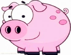 什么生肖较旺猪