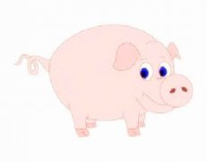 属猪人一生财运如何