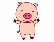 生肖属猪女较怕几月出生