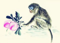 属猴适合做什么生意