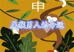 属猴的男人命好不好