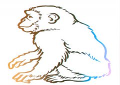 属猴人2020年健康运如何