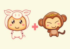 猴和猪的属相合不合