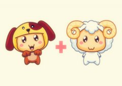 羊和狗的属相合不合