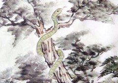 属蛇适合做什么生意