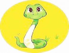 生肖属蛇女较怕几月出生