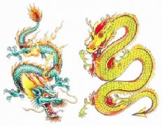 属龙人的婚姻与命运