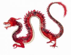 龙和虎的属相合不合