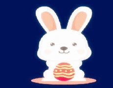 属兔和什么属相相克