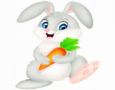 什么生肖较旺兔