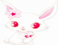 兔和龙的属相合不合