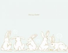 兔和猴的属相合不合