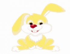 兔和狗的属相合不合