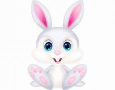 兔和鼠的属相合不合