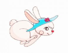 兔和猪的属相合不合