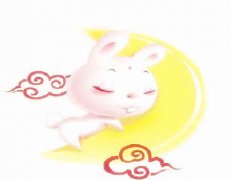 兔和鸡的属相合不合