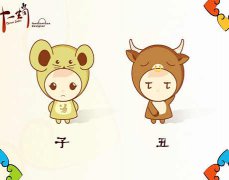 牛和鼠的属相合不合