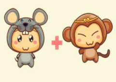 鼠和猴的属相合不合