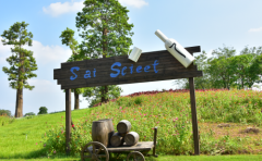 金牛座男生选老婆较在乎的三点