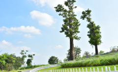 双子座男生选老婆较在乎的三点