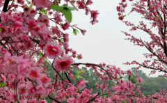 怎么让天秤座男生离不开你