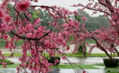 怎么让天蝎座男生离不开你