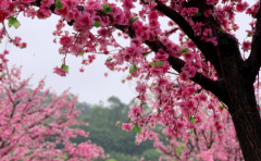 怎么让射手座男生离不开你