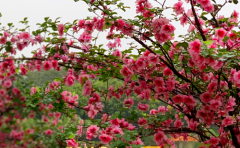 怎么让双鱼座男生离不开你