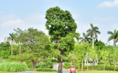 天秤座男生选老婆较在乎的三点