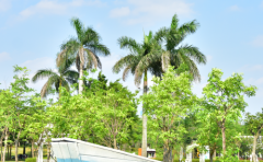 射手座男生选老婆较在乎的三点