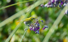 摩羯座男生选老婆较在乎的三点