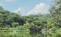 双子座男生对婚姻较注重什么