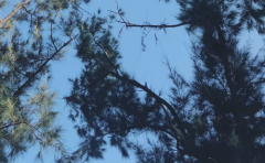 天蝎座男生对婚姻较注重什么