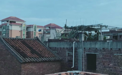 双鱼座男生对婚姻较注重什么